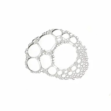 CMP ( Proteínas Moduladoras de Citoquinas)